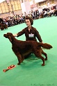 Crufts2011_2 117